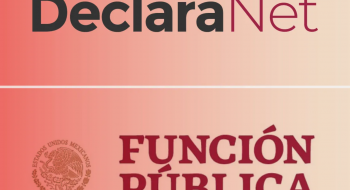 Secretaría de la Función Pública, filtración de datos personales de la declaración patrimonial de los servidores públicos 2020.