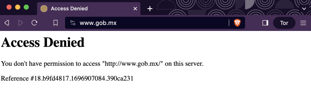 Acceso denegado. Captura de pantalla del bloqueo a sitios oficiales del Gobierno de México desde la red Tor. En esta captura, el sitio principal del Gobierno de México.