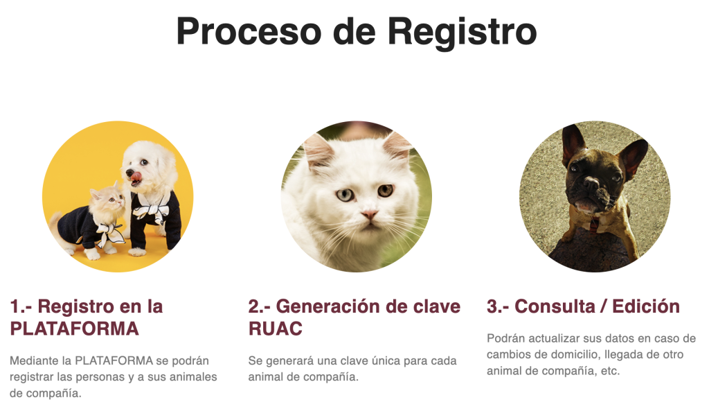 Proceso de registro de mascotas en la Ciudad de México.